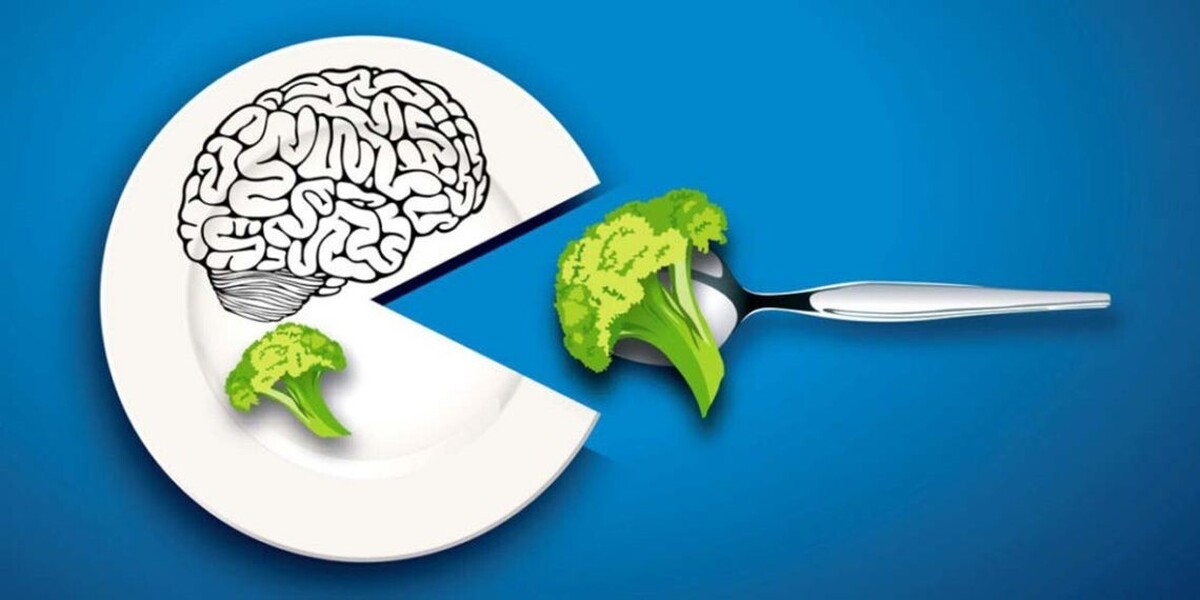 Костные мозги польза и вред. Питание для мозга. Здоровое питание для мозга. Пища психология. Правильное питание для мозга.
