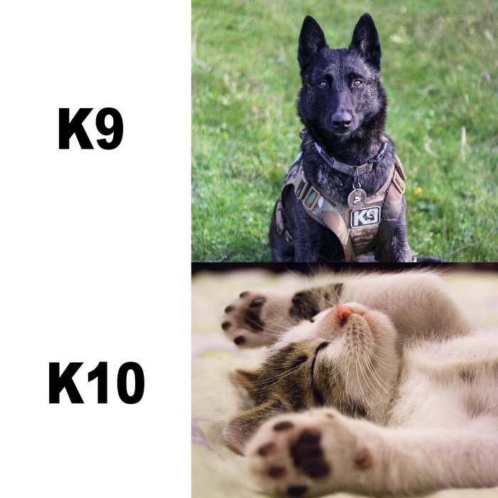 K9 vs K10 , , , , ,  ,   ,   ,  ,  (),  , , 