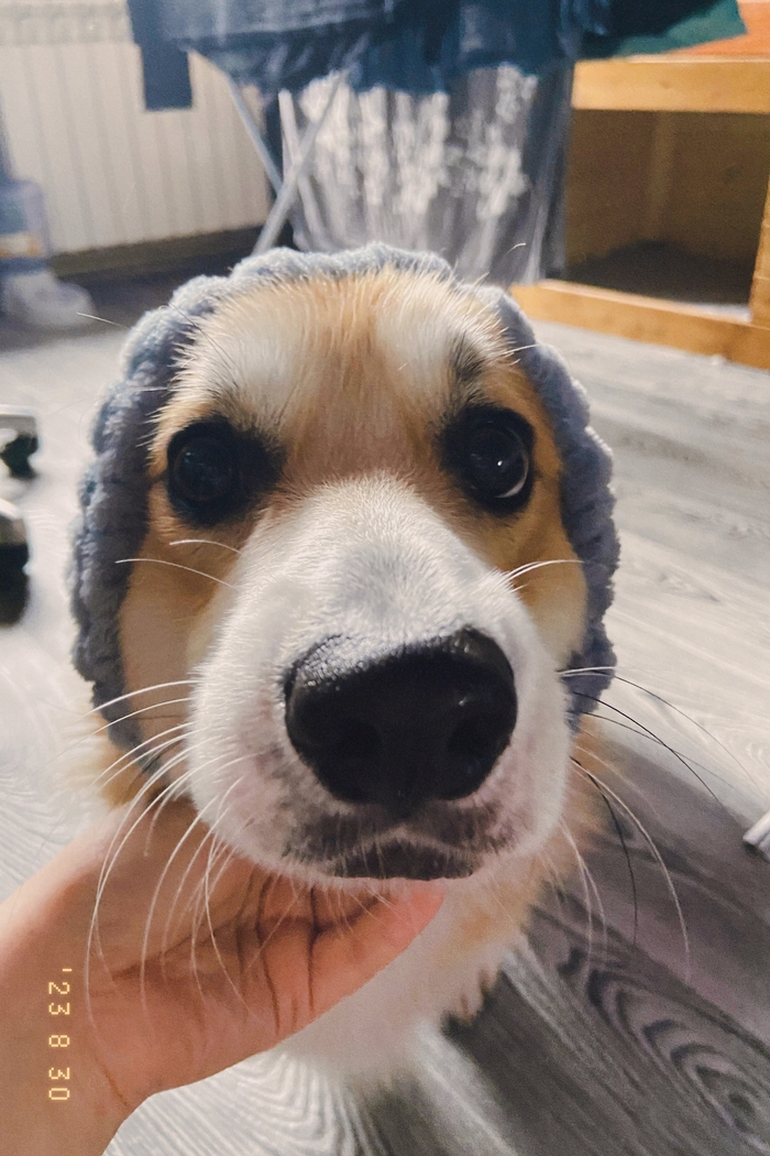 ����� ����� ������� ���� � ���� ������� ����