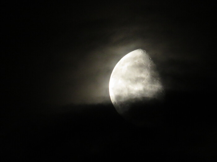 ��� ���� ����������...