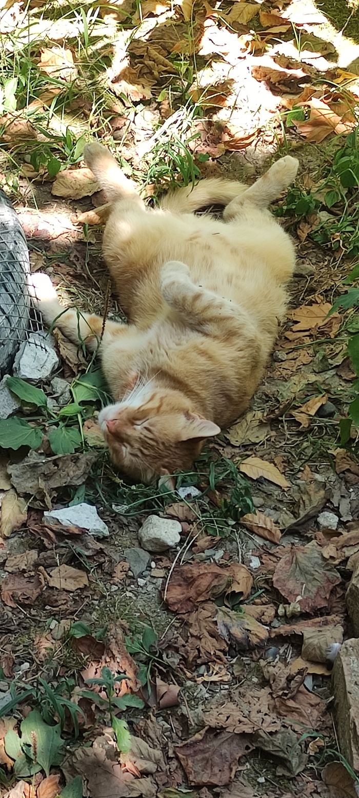 Последний день лета