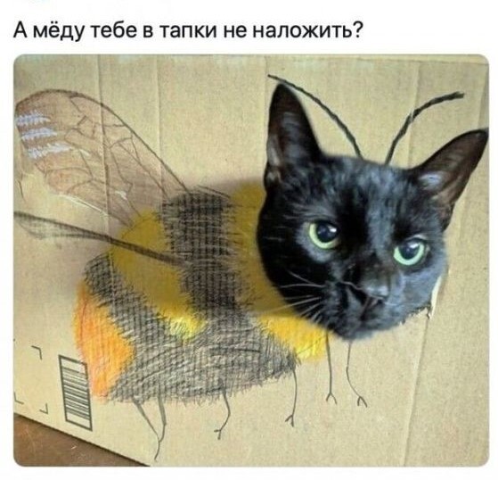 Пчелка | Пикабу