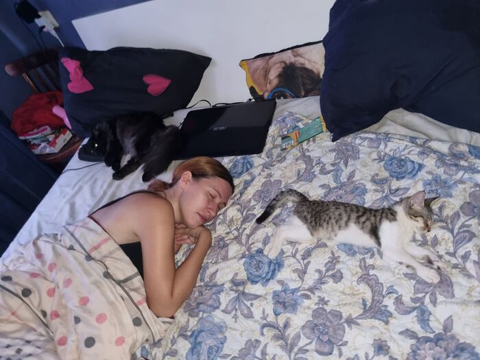 ����� � �������