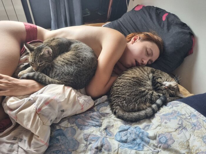 ������ ���� ������� ������� ���� 😹