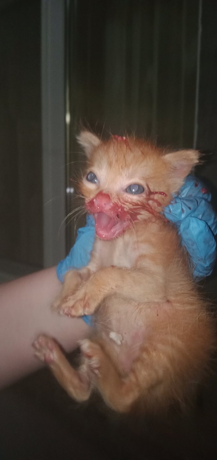 ��� �� ������� �������� ������� ������...��� ������ �����....