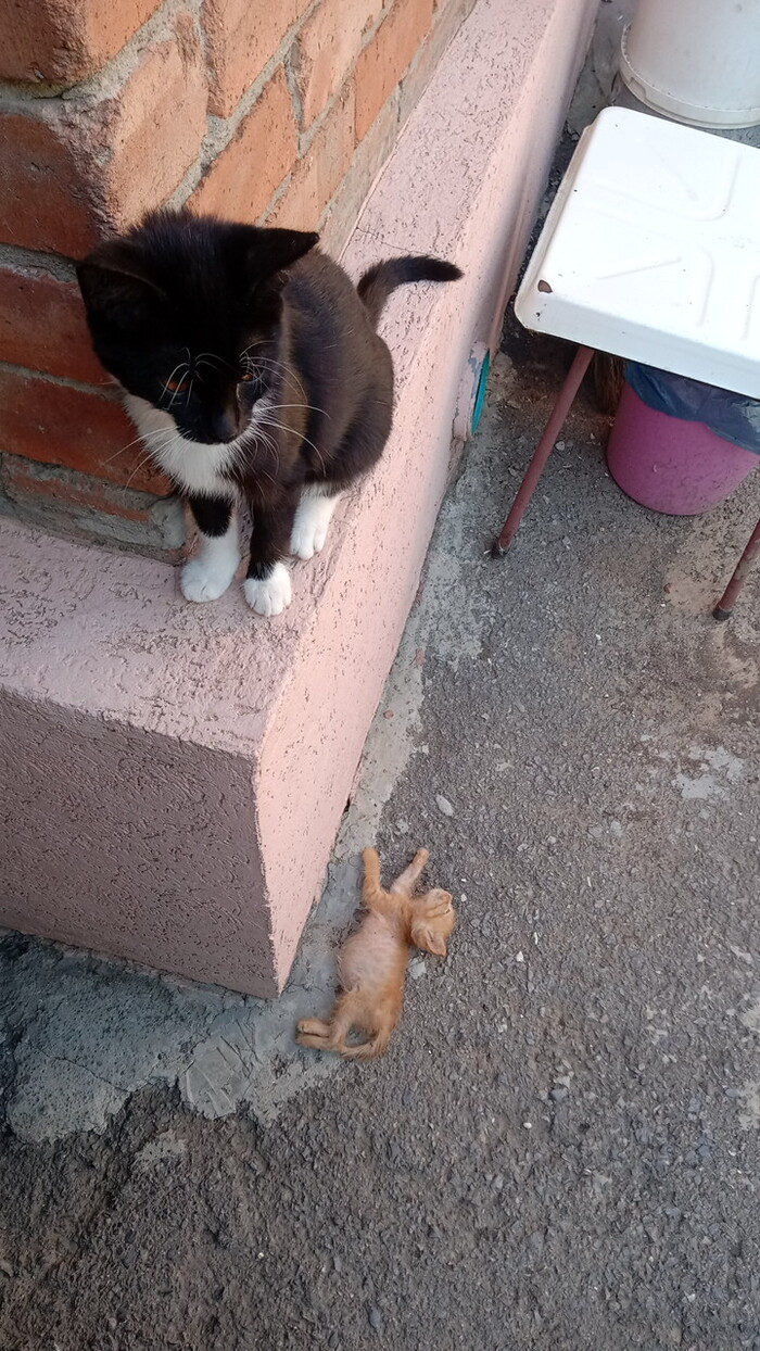 �� ��������� ��������,����������� ����❤️