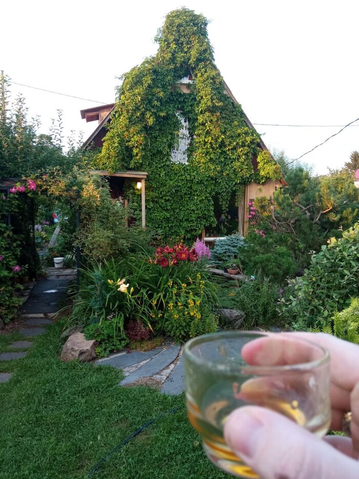 Приехали к Дому.