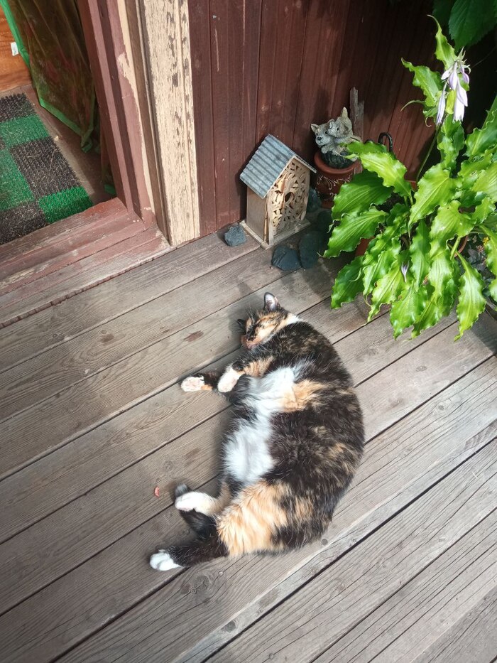 Хозяйка Феня.