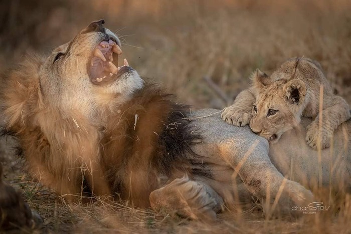 ������� �� ������ ������