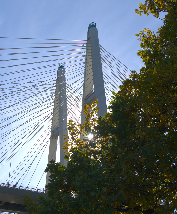 Санкт-Петербург, Большой Обуховский мост