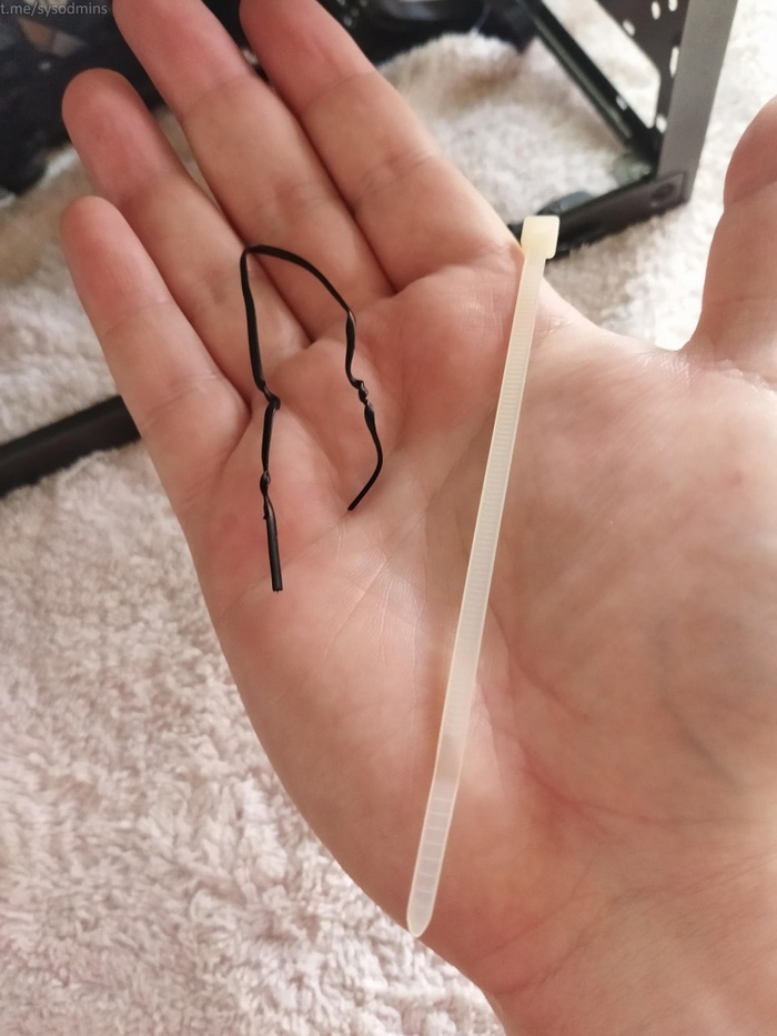 Есть только два гендера