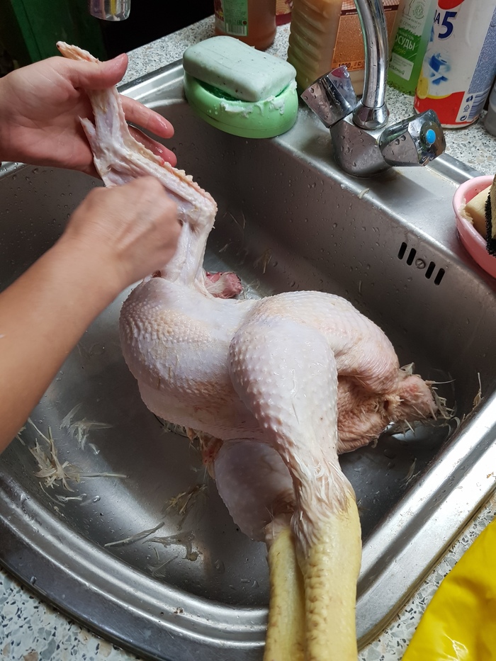 ������ ������ ���������� ����.