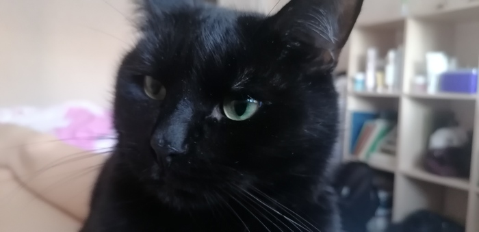 ��� ��� ������