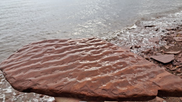 Так называемый "знак ряби". Держу на руке отпечаток дна древнего моря.