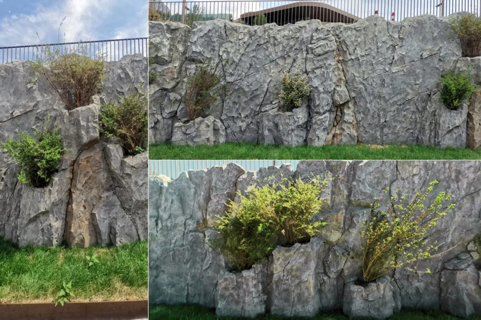 ������������� ��������� ���� �� �������������� ������ � ������� �������������� | ART BERENDEEVO STUD