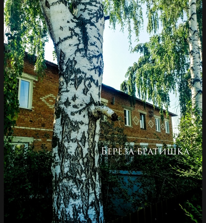 � ���� ����