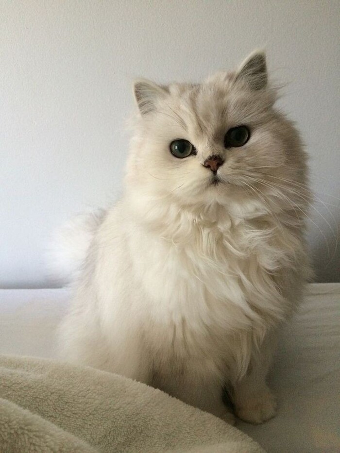 Книги по управлению персоналом