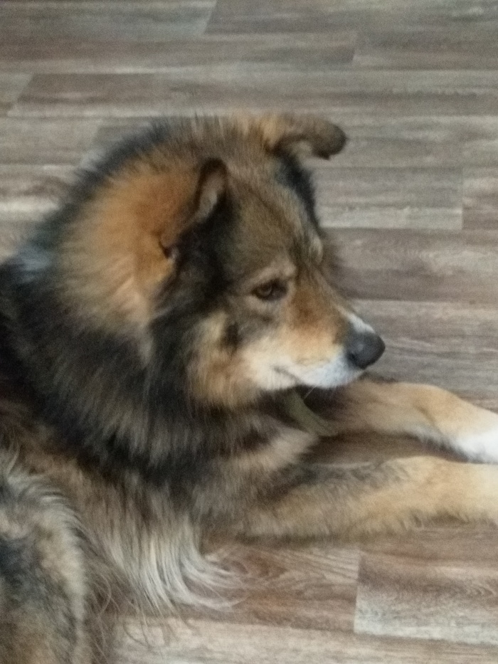 Мы отъелись и чуточку обнаглели. Недоволен.