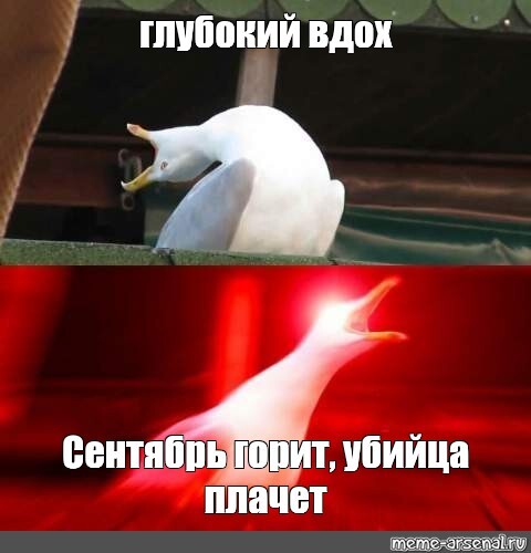 У всех календарь, а у меня