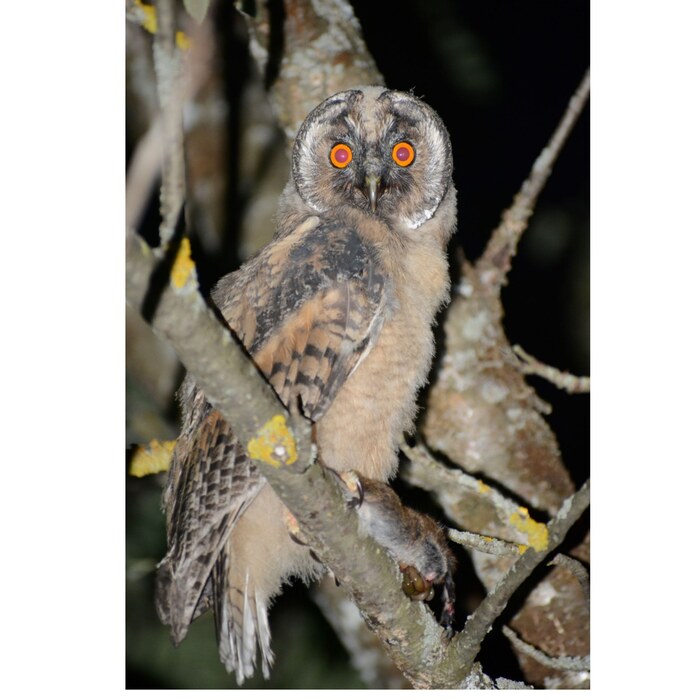 Этим вечером кому-то не повезло