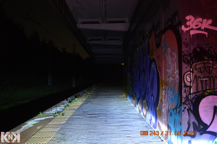 Взгляд в сторону «Стрешнево»