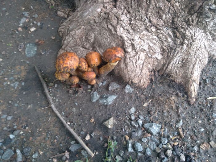 ��� ����� ������� ����� � ������ �� �����