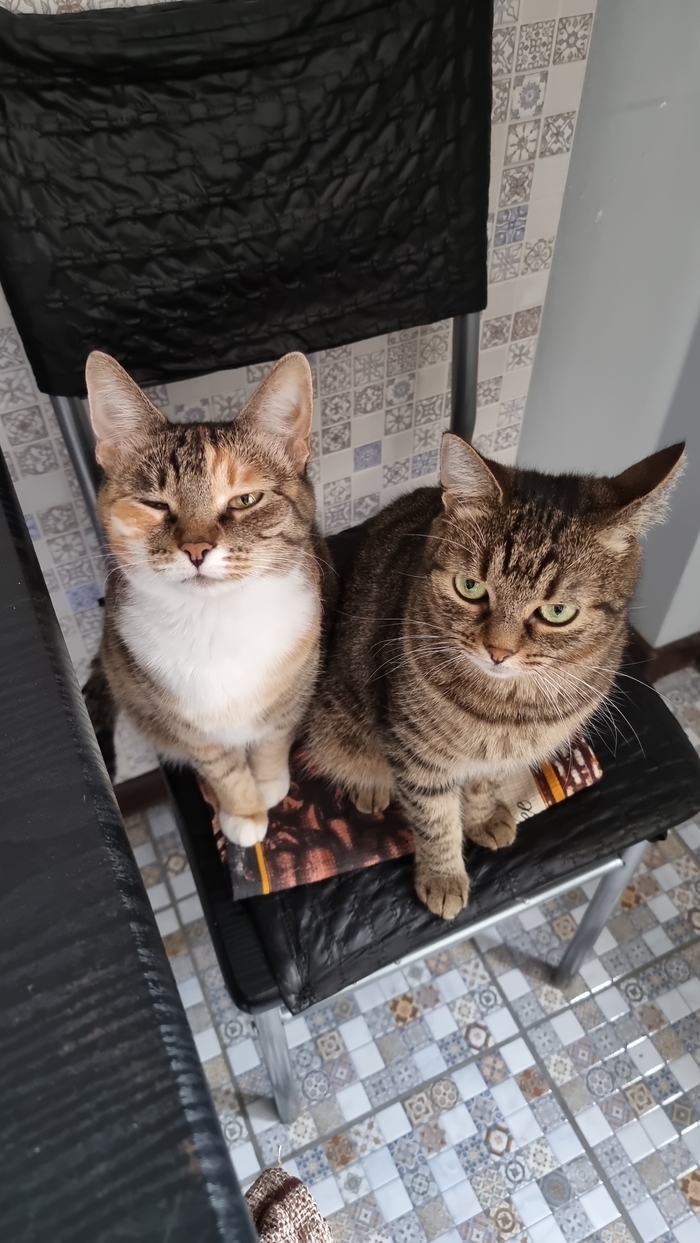 Приятного тебе аппетита, жлоб!