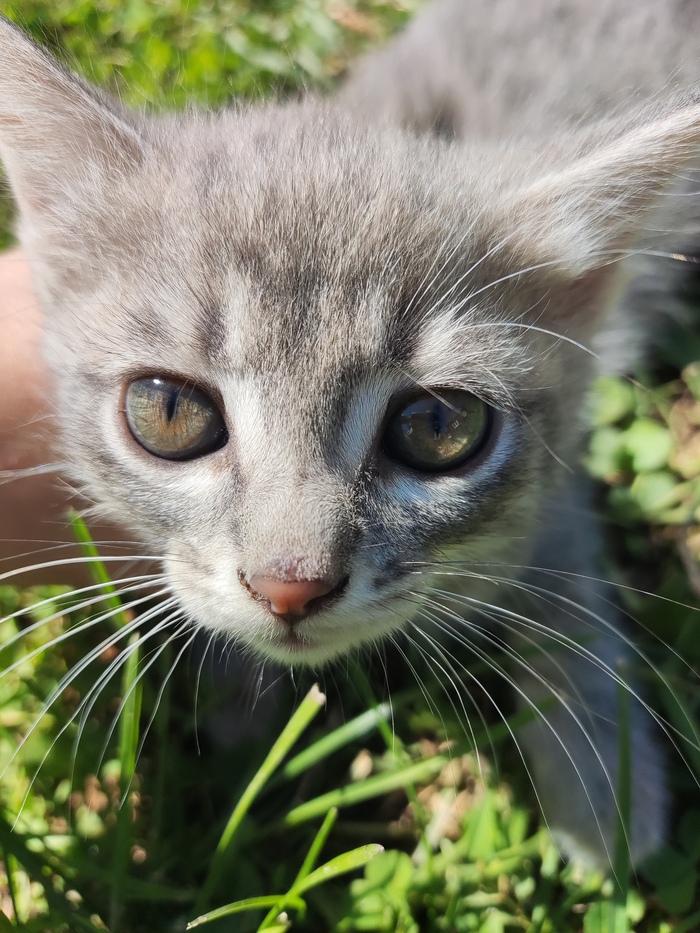 �� ���� �������� � �������