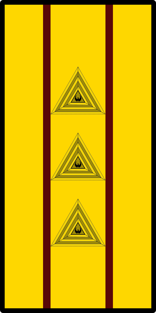 ��������� 1-�� ������ ��� (������ ������������ �������)