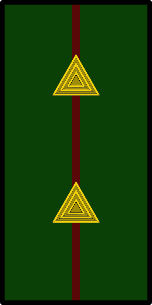 ������� ��������� ��� (������ ������������ �������)