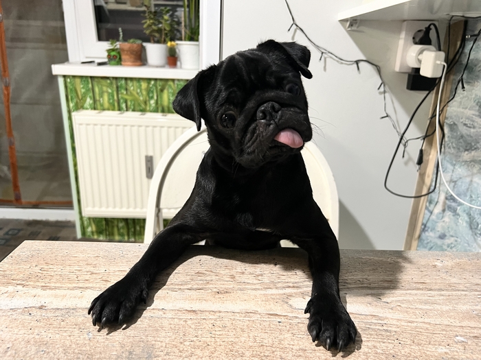 Продолжение поста «Вы что там, жрёте, что-ли?!»