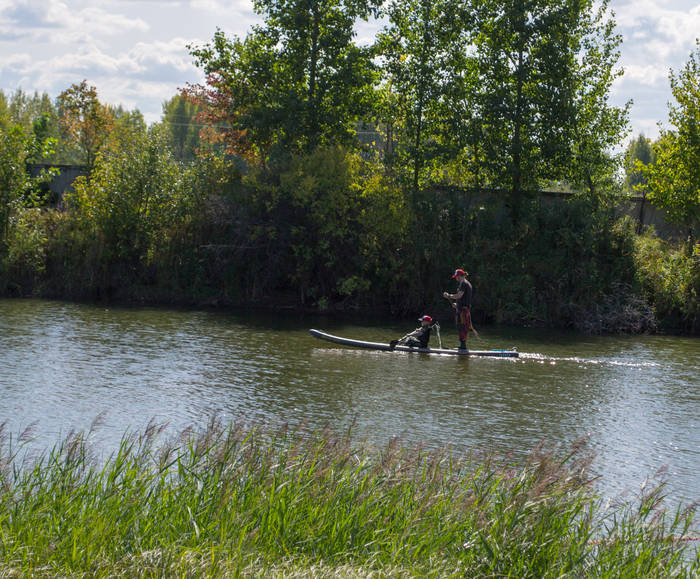 Все желающие могли покататься на сапах