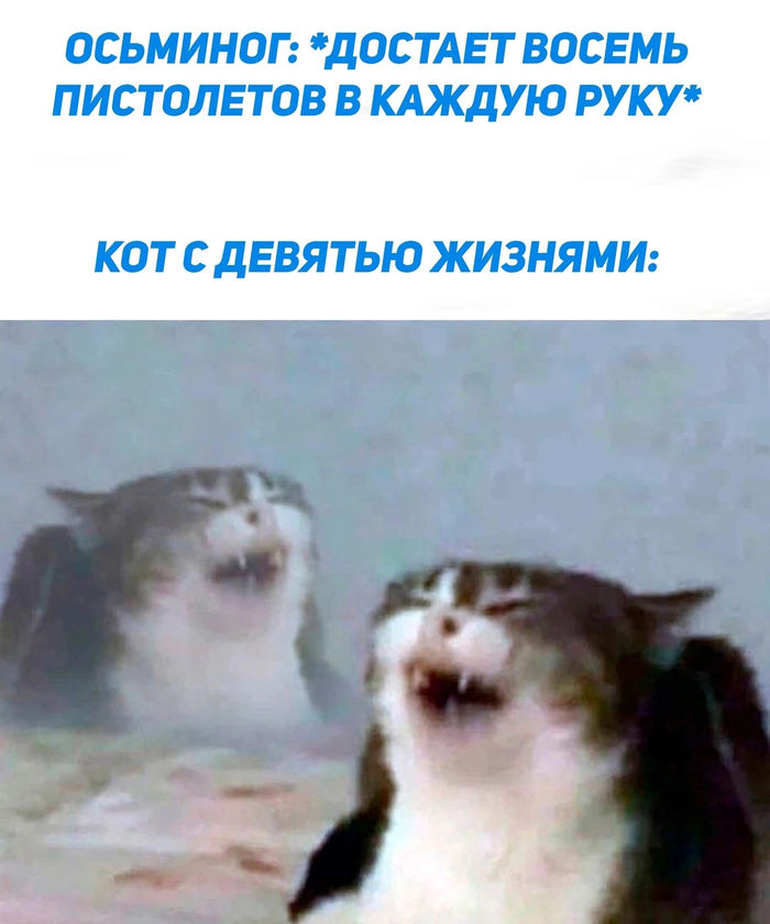  vs  ,   , , , , 