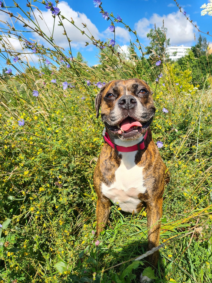 ��������)