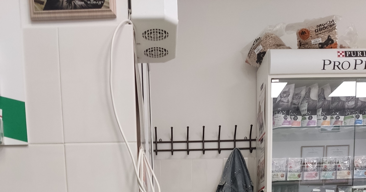 Котий релакс | Пикабу