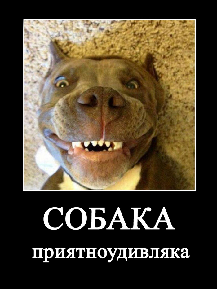 ������ - ���������������, ������ ������� ������ - ���������!