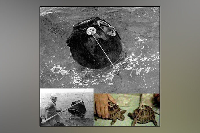 ����������� ����������� �������� �����-5 � ���������� �� �����