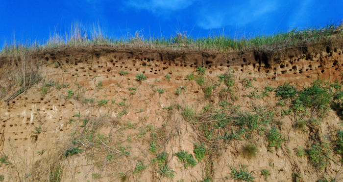 Отверстия, кто знает, какого происхождения...