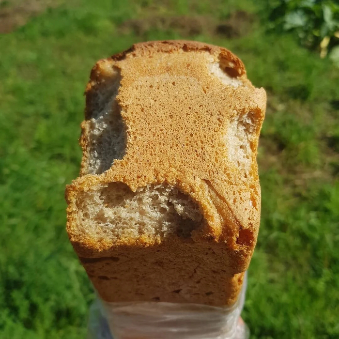 Ответ на пост «Однажды ты запустил ее в последний раз»