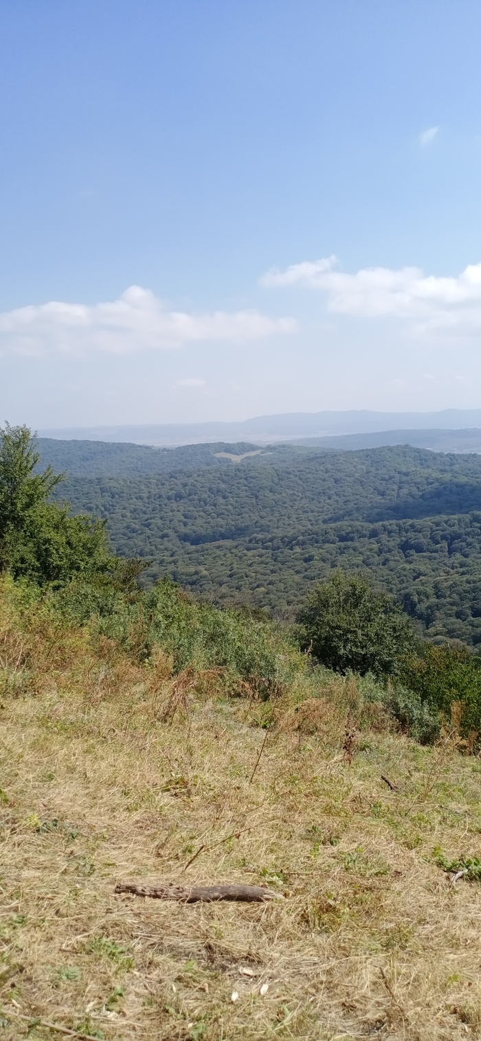 ������ ��� � ���������-��������=))