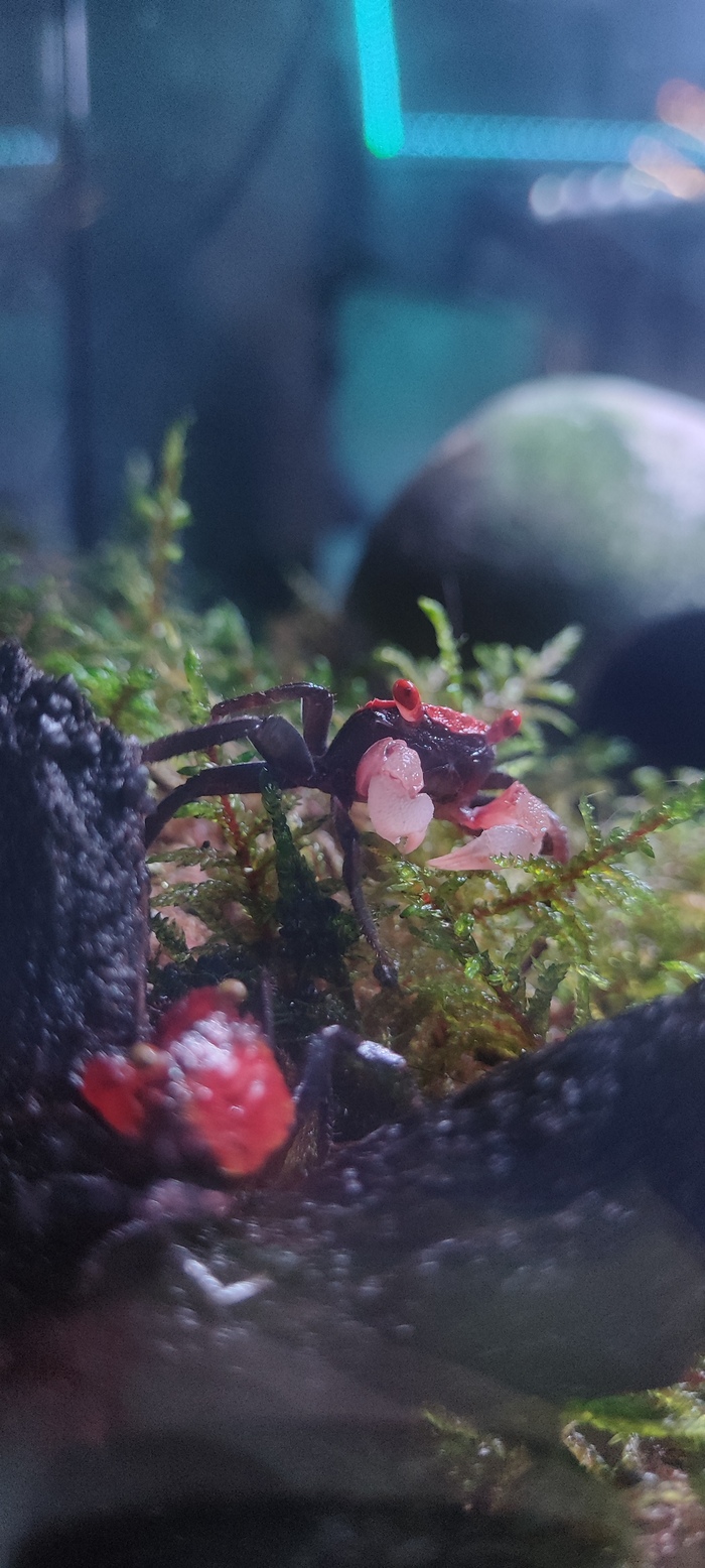 ����-������