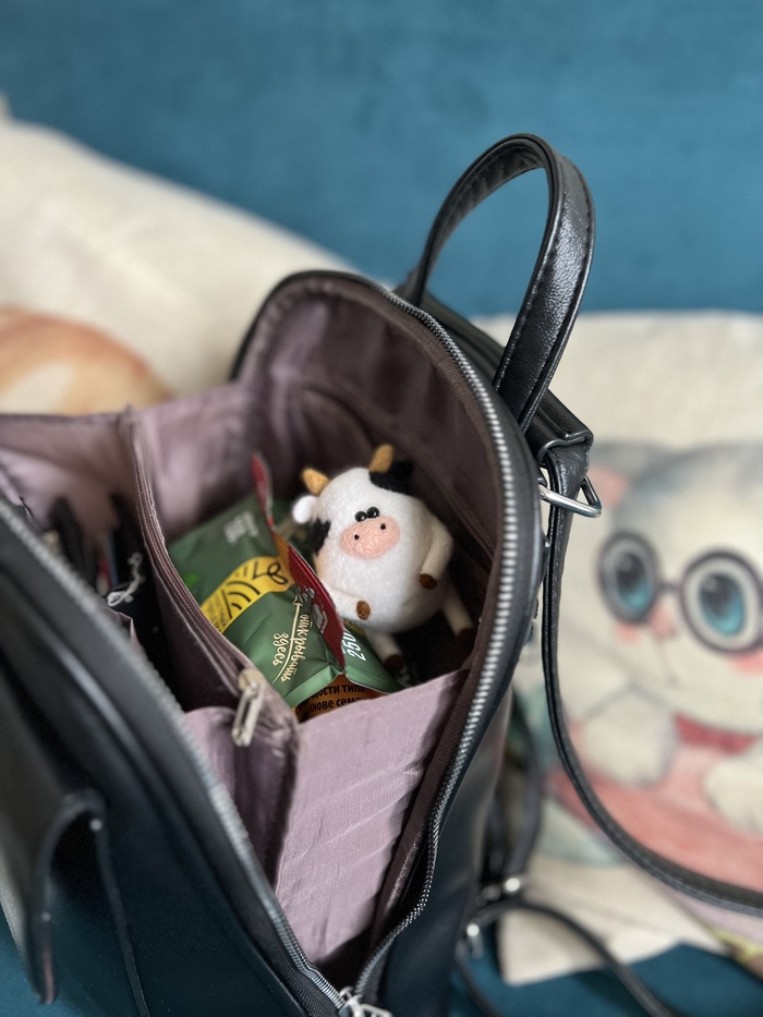 Бычок - Родился первым, поэтому считает себя главной звездой в трио, любит козинаки и путешествовать, не успеешь отвернуться, а он уже у тебя в сумке. Проколол левое ухо, вместо носа, считает так красивее.:)