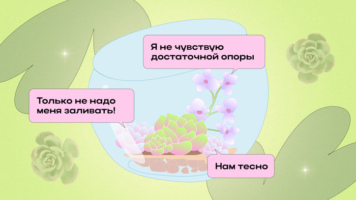 Как сделать флорариум своими руками Комнатные растения, Садоводство, Сад, Растения, Цветы, Хобби, Длиннопост, Блоги компаний