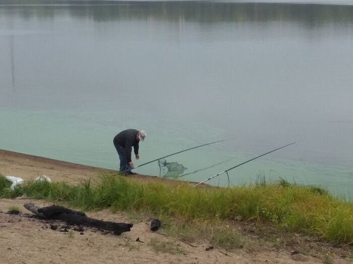 Невозмутимо рыбачит мужчина, закидывая удочки в зеленую муть.