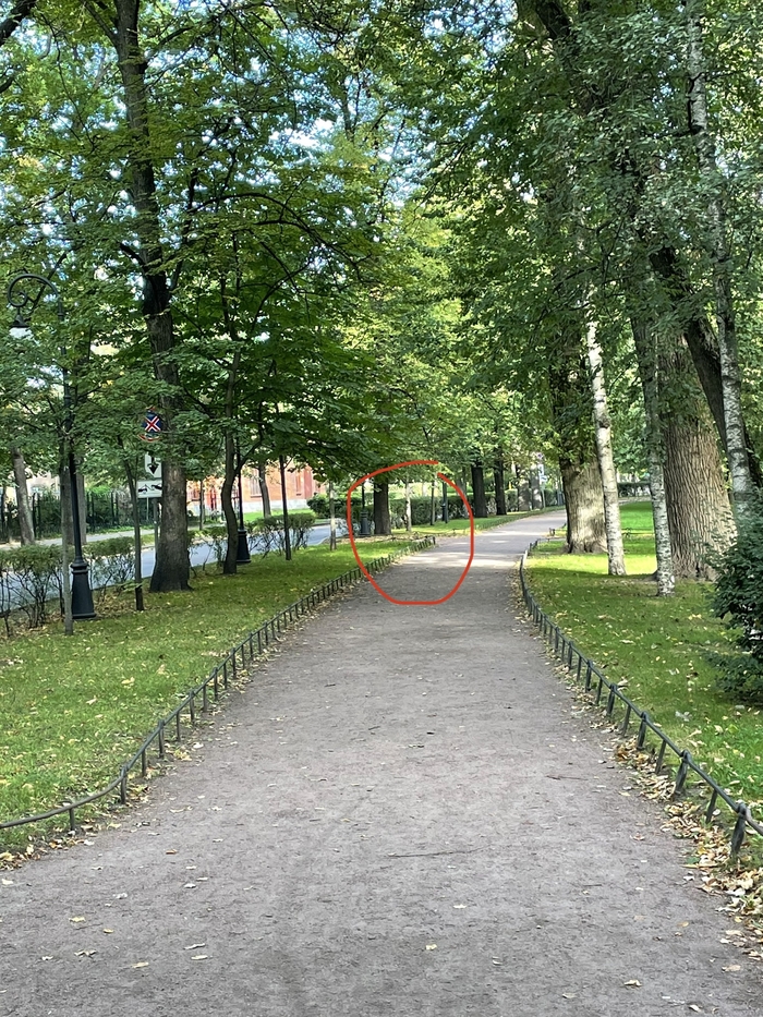 Нашелся наушник airpods pro (левый)