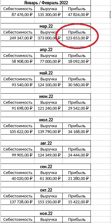 Общий отчет по месяцам за 22 год