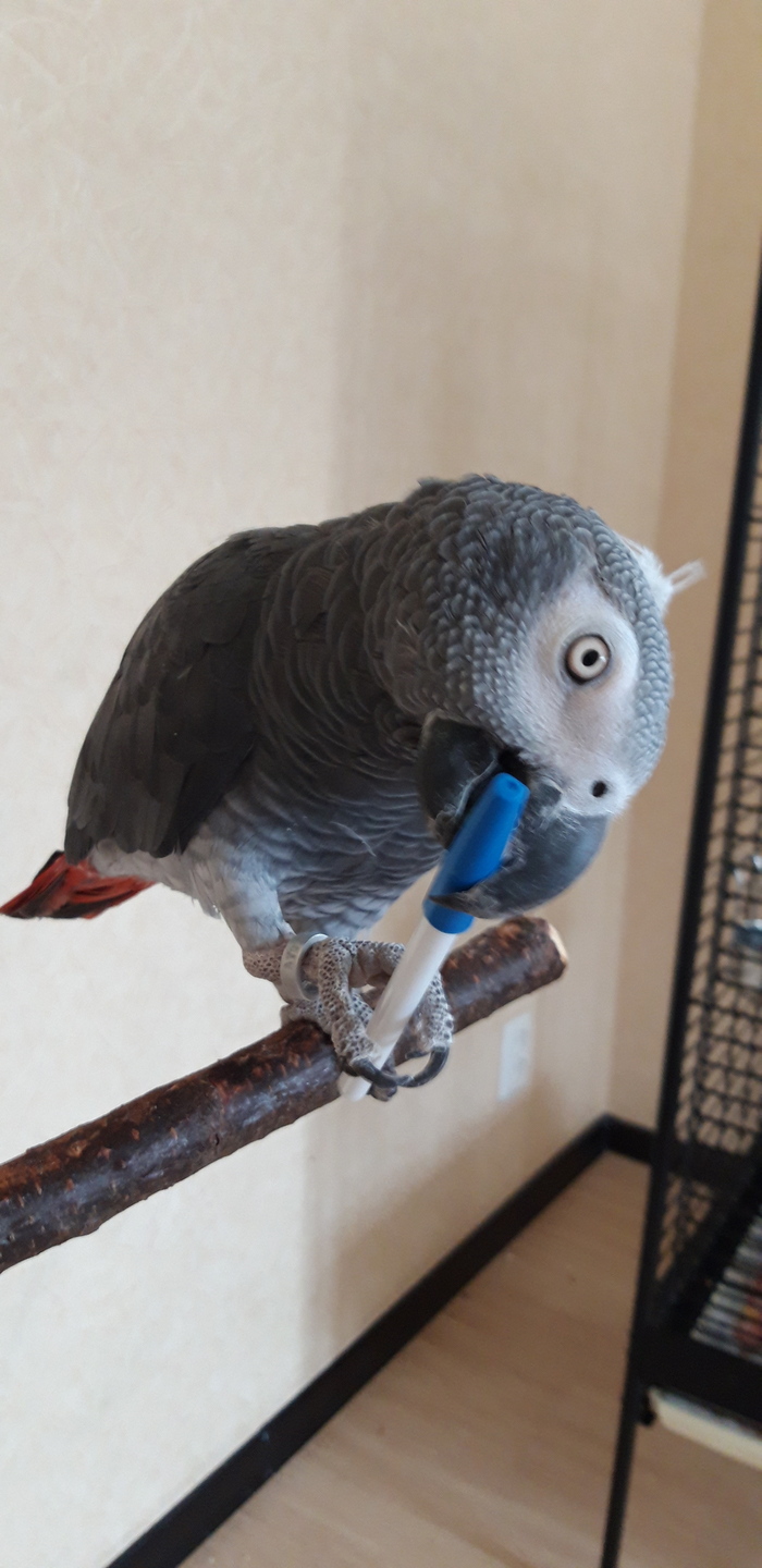 Бумаги не дали