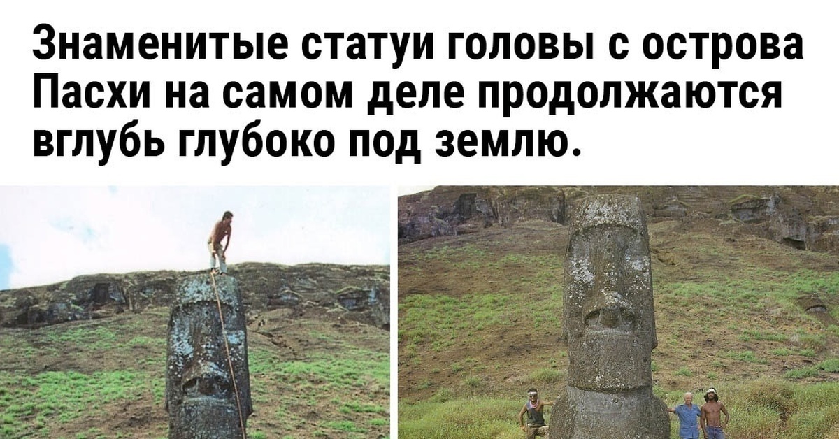 Средний палец | Пикабу