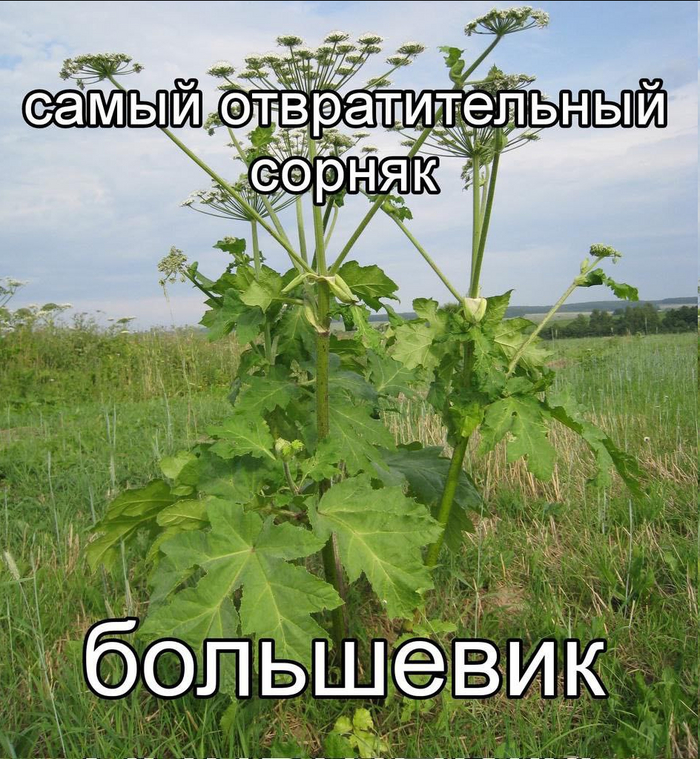 Воистину