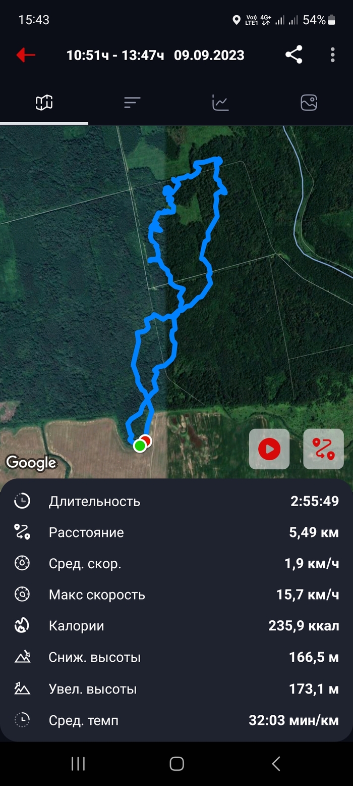 По грибы Калининградская область, Грибы, Отдых, Лес, Природа, Длиннопост